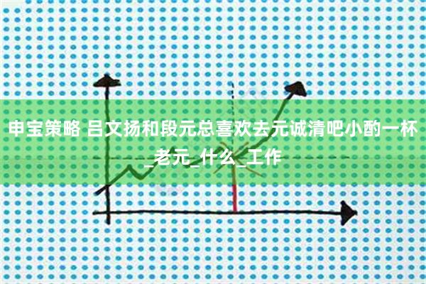 申宝策略 吕文扬和段元总喜欢去元诚清吧小酌一杯_老元_什么_工作