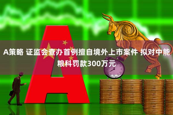 A策略 证监会查办首例擅自境外上市案件 拟对中能粮科罚款300万元
