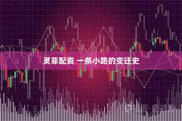 灵菲配资 一条小路的变迁史