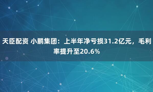 天臣配资 小鹏集团:上半年净亏损31.2亿元,毛利率提升至20.6%