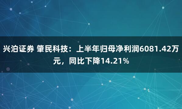 兴泊证券 肇民科技：上半年归母净利润6081.42万元，同比下降14.21%